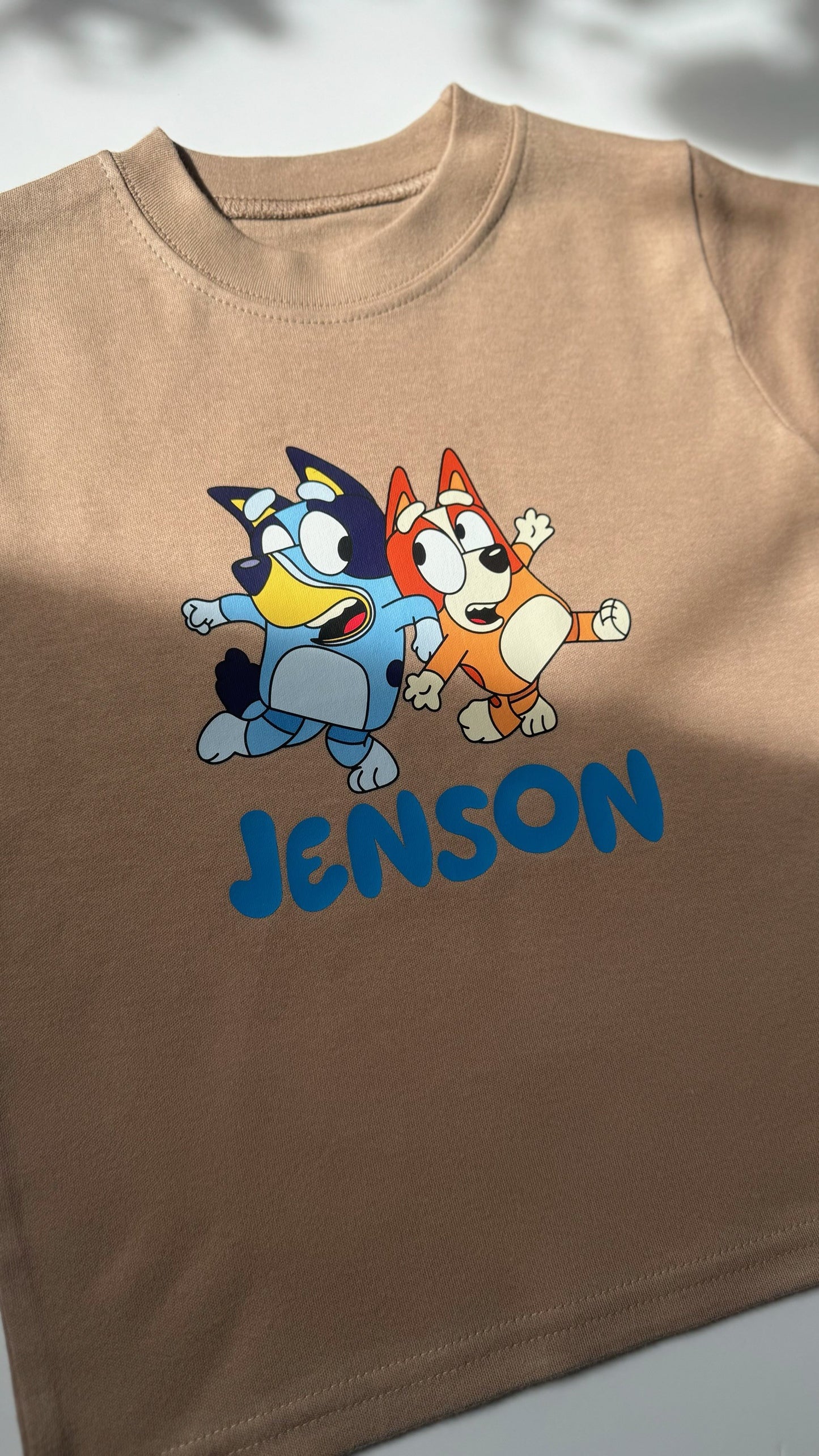 Bluey & Bingo T-Shirt